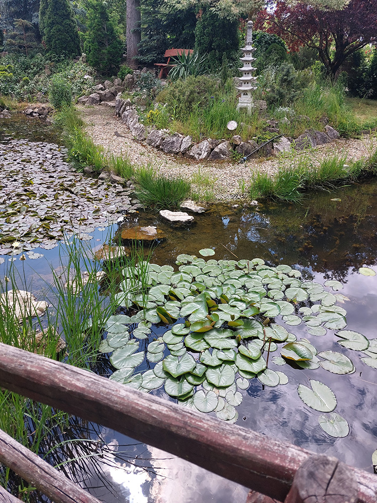 Bölcsességek kertje